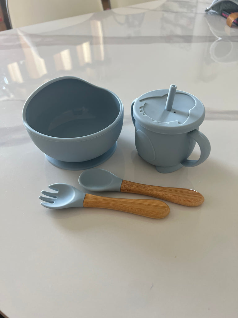 Feeding kits - silicone bowls, spoons, forks and sippy drink bottle